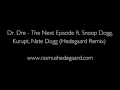 Dr. Dre - The Next Episode ft. Snoop Dogg, Kurupt, Nate Dogg (Hedegaard Remix)