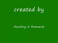 Hunting in Romania - Wild duck Hunting in Romania - Wild duck