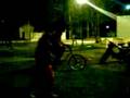 videos de Yamill,, Rata