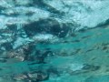 PHI THANH VAN - sexy model - under Ocean