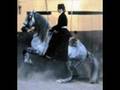 Apresentação do Cavalo Alazão em HelsinquÃa