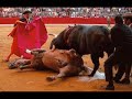 El siniestro y oculto mundo de la tauromaquia