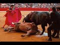 El siniestro y oculto mundo de la tauromaquia