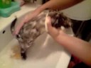 le bain de pouky