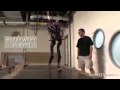 Boston Dynamics PETMAN Prototype