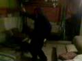 videos de hamza going crazy