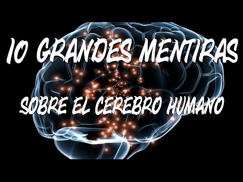 10 grandes mentiras sobre el cerebro humano