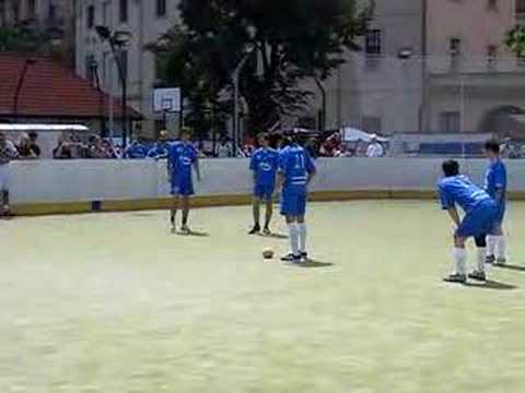 Ujfalusi en partido amistoso