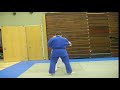 Ko-uchi-gari