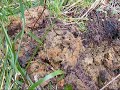 GA dirtfishin Episode 1 - Metal Detecting at McLemore\ GA dirtfishin Episode 1 - Metal Detecting at McLemore\