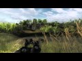 Sanglier1