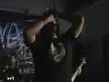 spina - fugaz