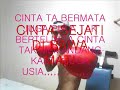 KARISMA CINTA  DEWI YULL