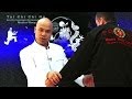 Tai Chi Chi Na Lesson 14