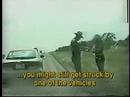 Cop Fortune Teller
