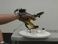 Sun SPOT Telerobotics