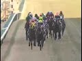 2005 Arima Kinen ????