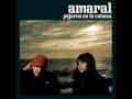 videos de AMARAL TOP 5