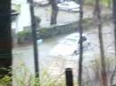 Flooding of Whitewood ave-2/15/07