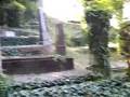 Cimitero Sassone Sighisoara