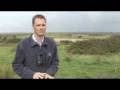 videos de Boris Island Airport