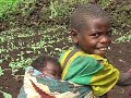 Batwa pygmeeen - Uganda