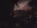 nessie   her beard   una cellula  franco battiato 