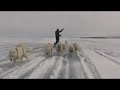 Arctic Surfing