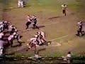FANtastic football clips No. 3 - Adrian Peterson