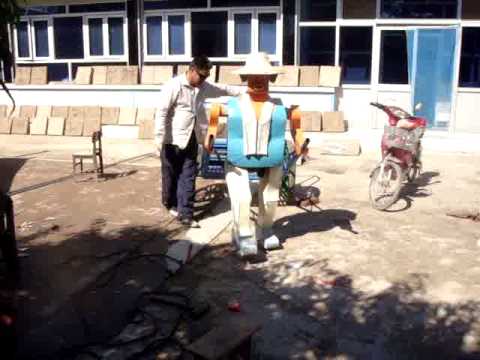0 photo 0 Chinese Farmer Builds Robot Army picture