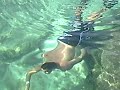 Xel Ha Swim
