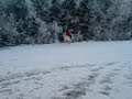 MOV00067 MOV00067
