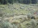 24 Hrs Extreme Enduro