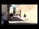 Processione S. Maria delle Grazie, Piano