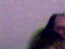 Tuto orendo (Thomas balla Ottanta.mp4)