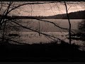Kvist - Svartedal