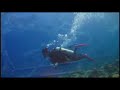 2008 Diving Tubbataha Reef Philippines 1/5