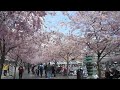 Stockholm #8 - Alone in Stockholm