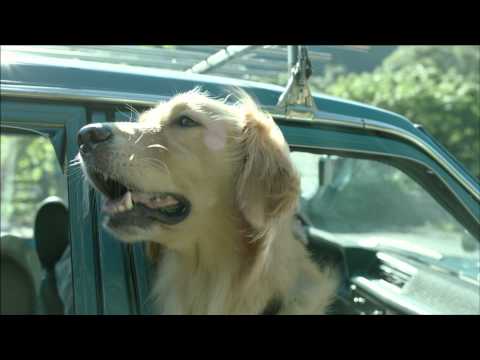 《只要一分鐘》前導預告─汪汪!我是里拉