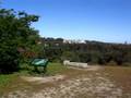 videos de Peters Hill - Arnold Arboretum, Boston.