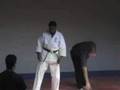 Gabriel Hains Moffat one Match 2008 Kyokushin Montreal