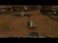 Warhammer Online beta: Ironbreaker RVR part 1