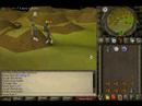 Runescape FUN DMING