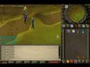 Runescape FUN DMING