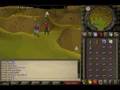 Runescape FUN DMING