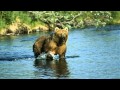 Possible Wholly Mammoth in Siberia video - Reaction & Analysis from John D. Villarreal
