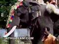 Chirakkal Mahadevan - ATHULYAM.COM