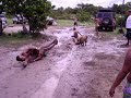 Patanes4x4 en Aguaro Guariquito