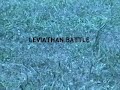 SCA Leviathan Battle