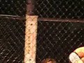 Arron Barringer Vs Kenny Burke Lo Quality